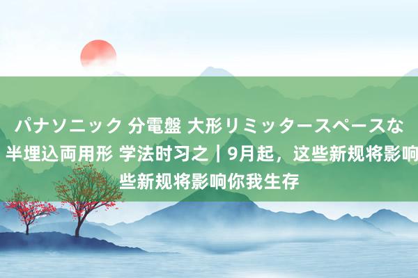 パナソニック 分電盤 大形リミッタースペースなし 露出・半埋込両用形 学法时习之｜9月起，这些新规将影响你我生存