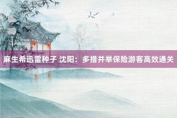 麻生希迅雷种子 沈阳：多措并举保险游客高效通关