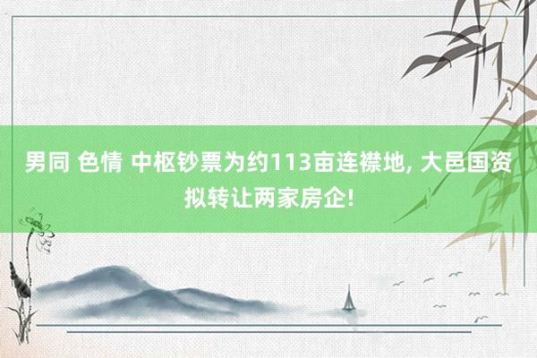 男同 色情 中枢钞票为约113亩连襟地， 大邑国资拟转让两家房企!