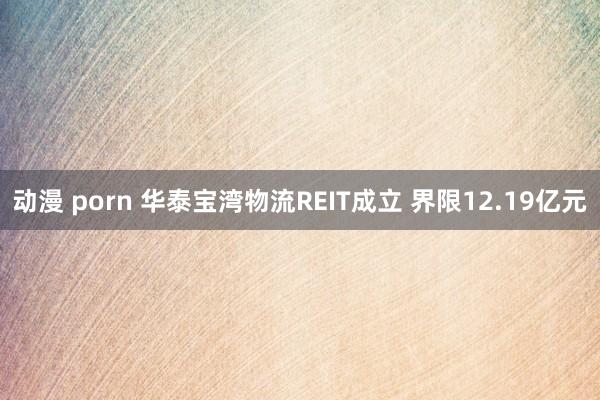 动漫 porn 华泰宝湾物流REIT成立 界限12.19亿元