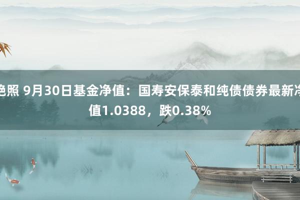 艳照 9月30日基金净值：国寿安保泰和纯债债券最新净值1.0388，跌0.38%