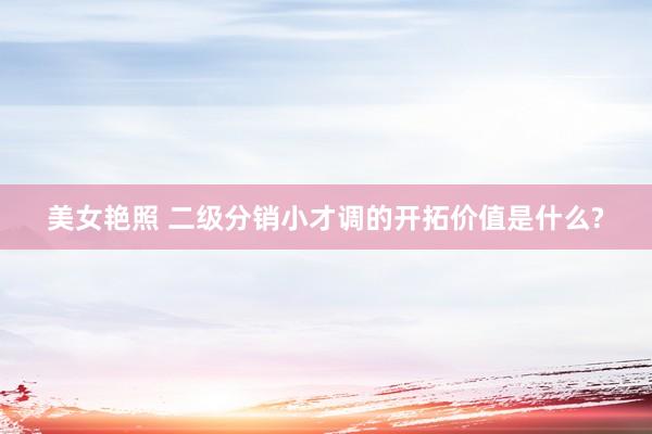 美女艳照 二级分销小才调的开拓价值是什么?