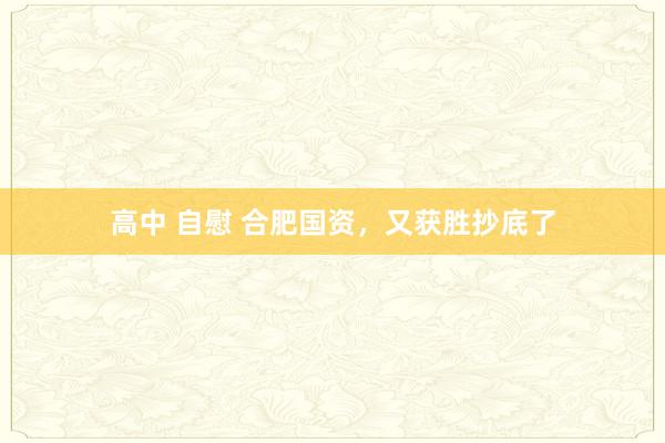 高中 自慰 合肥国资，又获胜抄底了