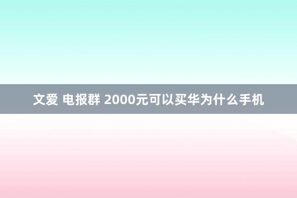 文爱 电报群 2000元可以买华为什么手机