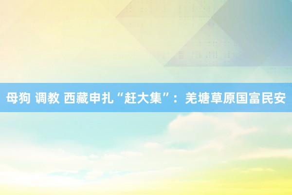 母狗 调教 西藏申扎“赶大集”：羌塘草原国富民安
