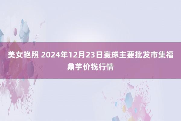 美女艳照 2024年12月23日寰球主要批发市集福鼎芋价钱行情