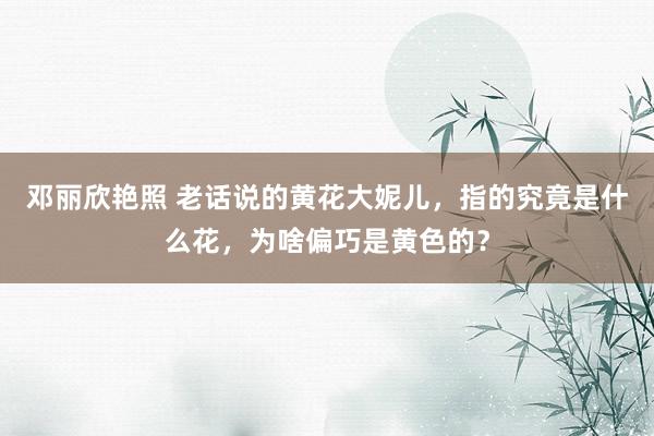 邓丽欣艳照 老话说的黄花大妮儿，指的究竟是什么花，为啥偏巧是黄色的？