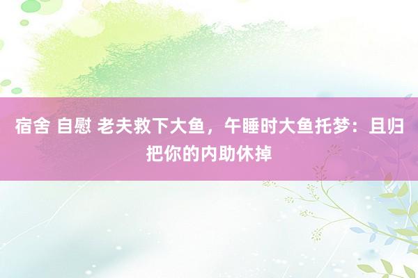 宿舍 自慰 老夫救下大鱼，午睡时大鱼托梦：且归把你的内助休掉