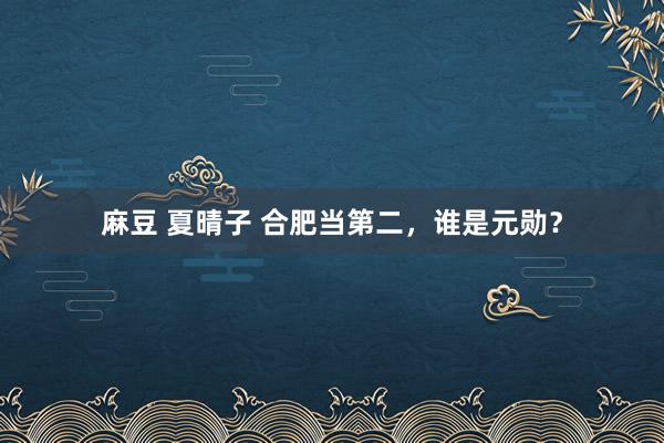 麻豆 夏晴子 合肥当第二，谁是元勋？