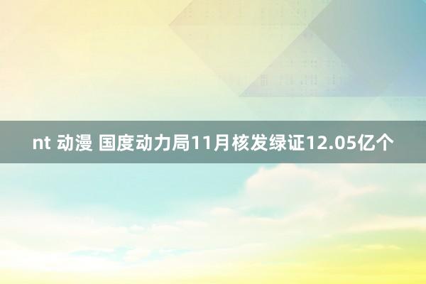 nt 动漫 国度动力局11月核发绿证12.05亿个