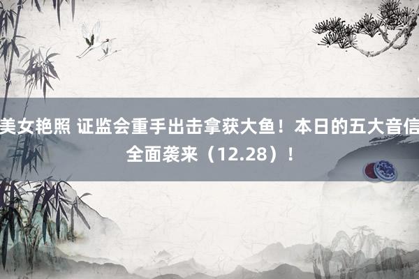 美女艳照 证监会重手出击拿获大鱼！本日的五大音信全面袭来（12.28）！