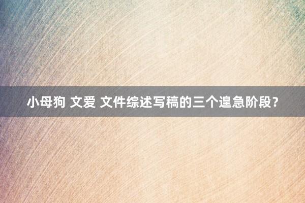 小母狗 文爱 文件综述写稿的三个遑急阶段？