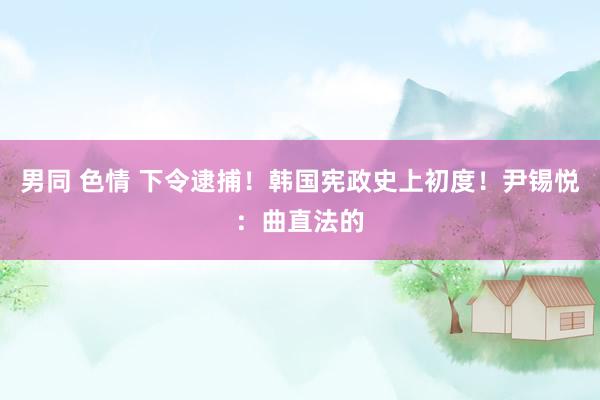 男同 色情 下令逮捕！韩国宪政史上初度！尹锡悦：曲直法的