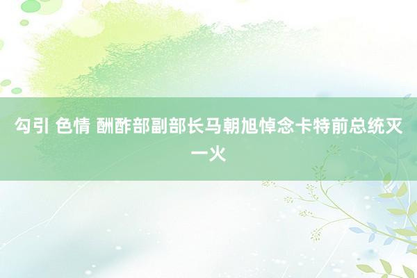 勾引 色情 酬酢部副部长马朝旭悼念卡特前总统灭一火