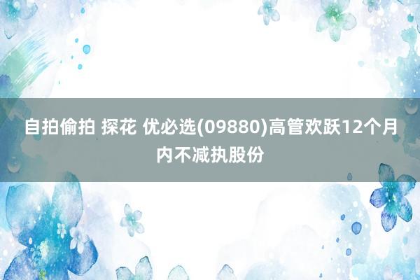 自拍偷拍 探花 优必选(09880)高管欢跃12个月内不减执股份