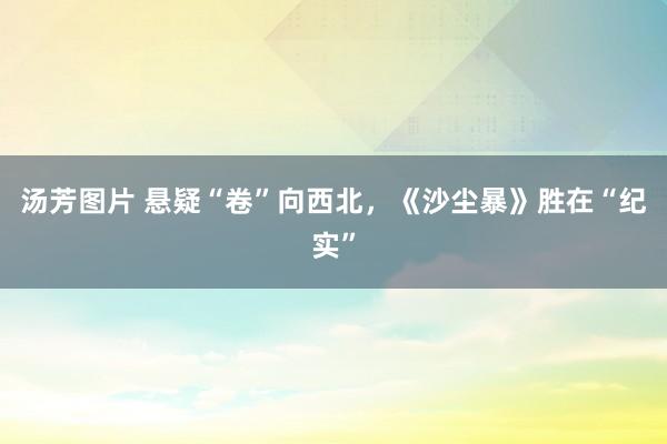 汤芳图片 悬疑“卷”向西北，《沙尘暴》胜在“纪实”