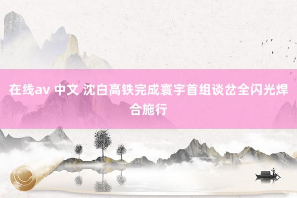 在线av 中文 沈白高铁完成寰宇首组谈岔全闪光焊合施行