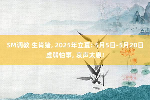 SM调教 生肖猪， 2025年立夏: 5月5日-5月20日虚弱怕事， 哀声太息!