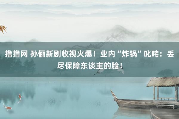 撸撸网 孙俪新剧收视火爆！业内“炸锅”叱咤：丢尽保障东谈主的脸！