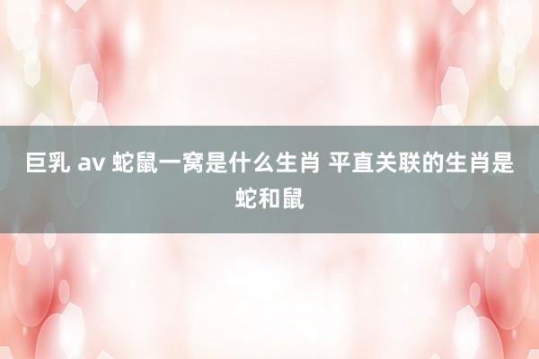 巨乳 av 蛇鼠一窝是什么生肖 平直关联的生肖是蛇和鼠