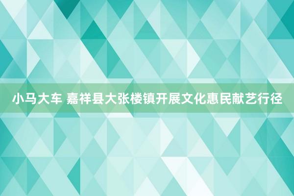 小马大车 嘉祥县大张楼镇开展文化惠民献艺行径